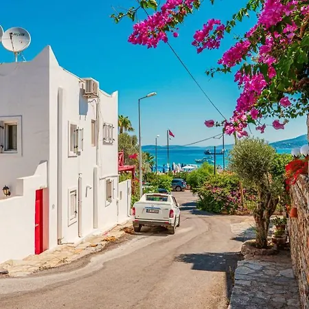 Villa Fully Renovated 2Br Villa 100 Meters Beach Torba *