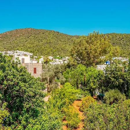 Villa Fully Renovated 2Br Villa 100 Meters Beach Torba *
